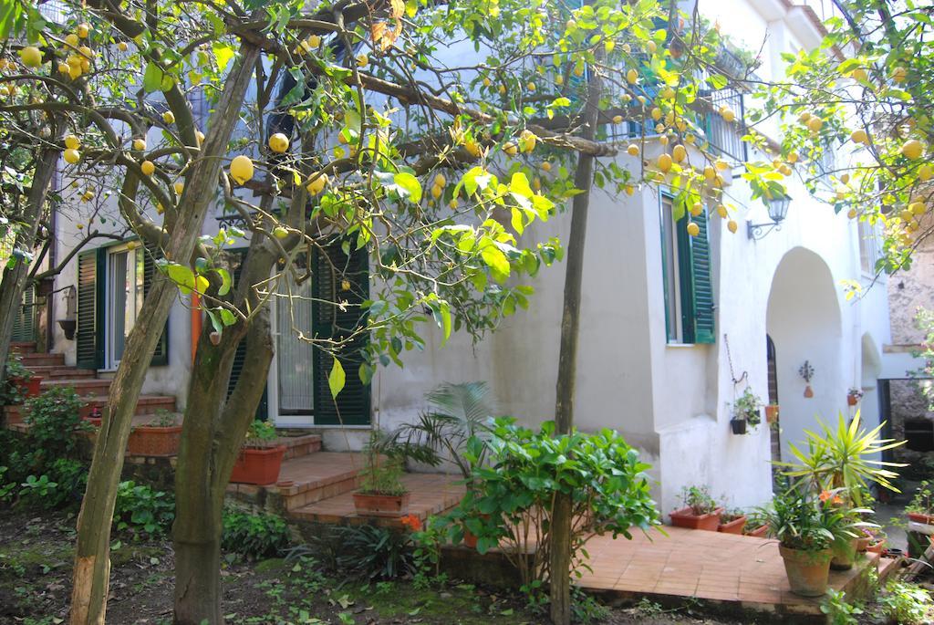 Sorrento Studios Lemons Hill Szoba fotó