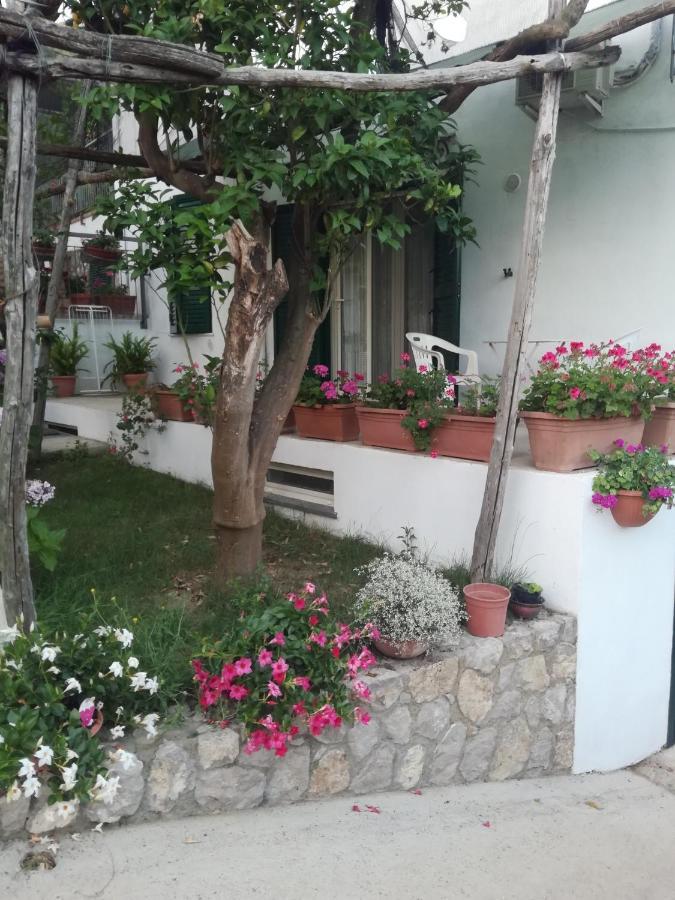 Sorrento Studios Lemons Hill Kültér fotó