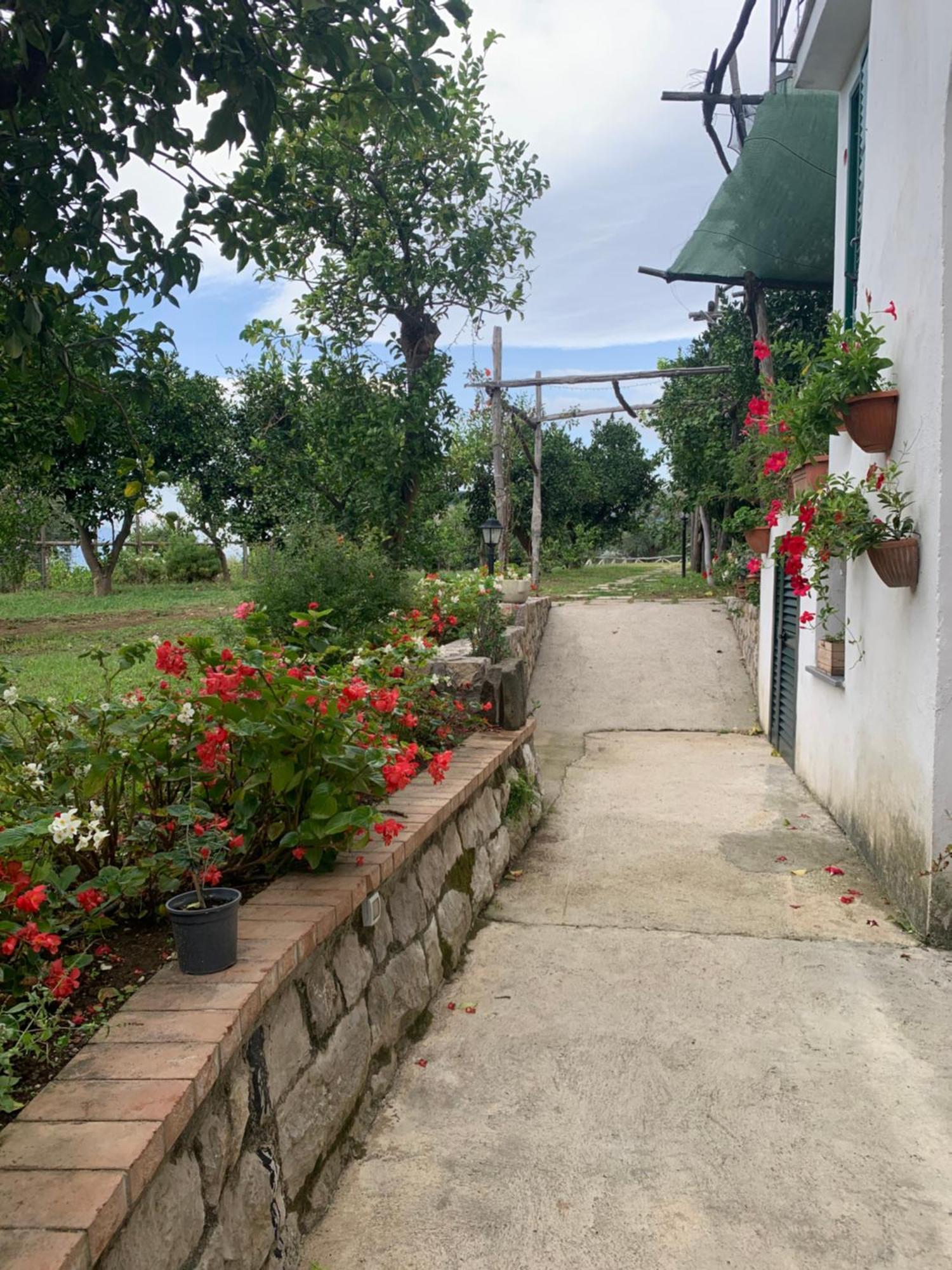 Sorrento Studios Lemons Hill Kültér fotó