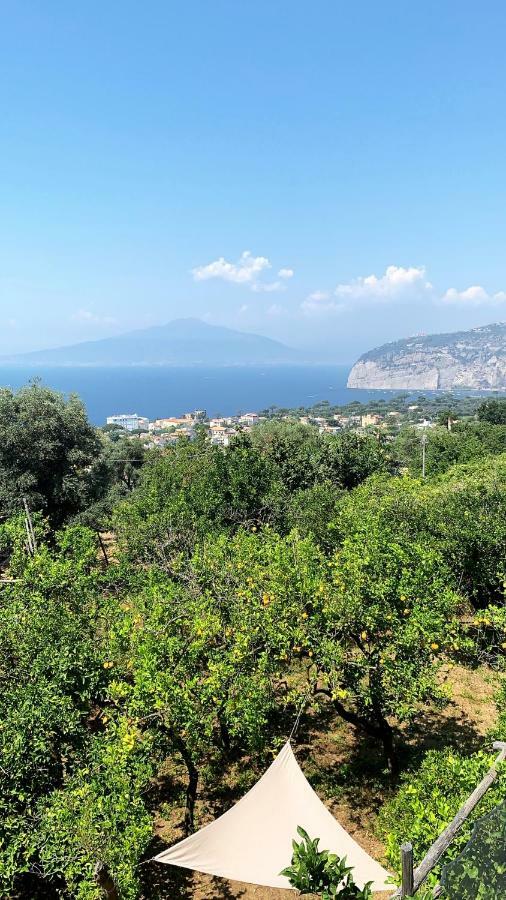 Sorrento Studios Lemons Hill Kültér fotó