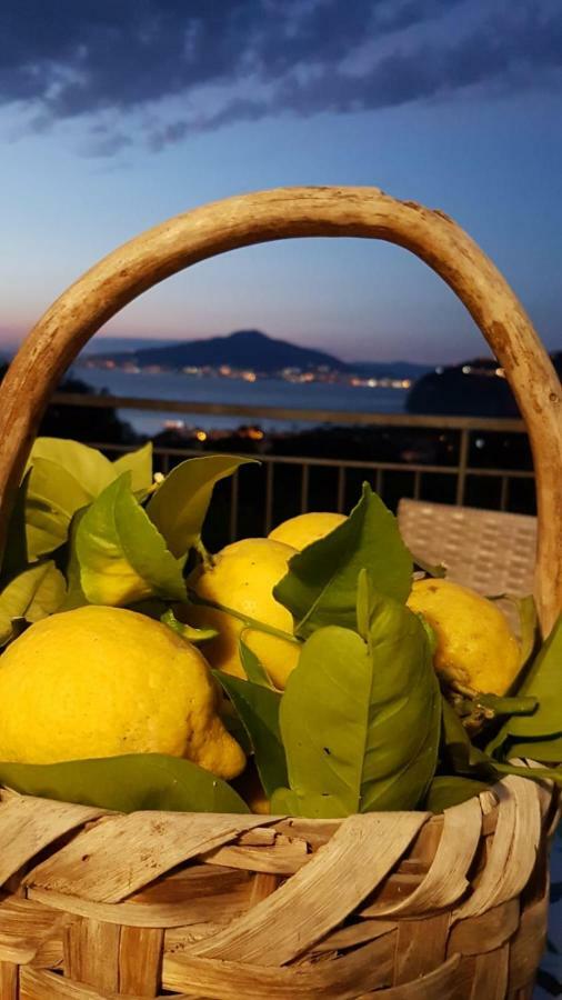 Sorrento Studios Lemons Hill Kültér fotó