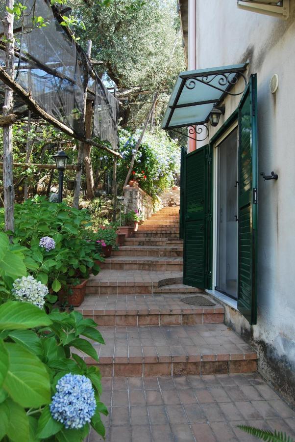 Sorrento Studios Lemons Hill Kültér fotó